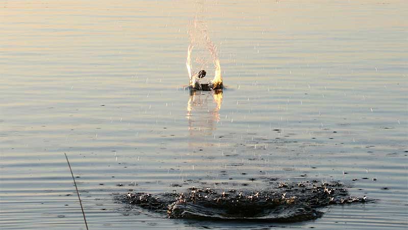 skipping rock