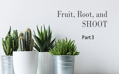 Part 3: Fruit, Root, and SHOOT!
