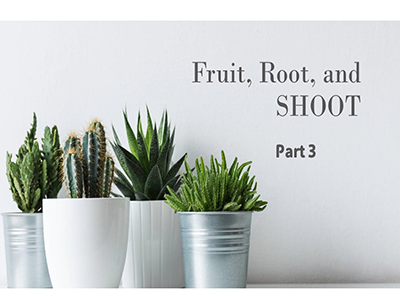 Part 3:  Fruit, Root, and SHOOT!